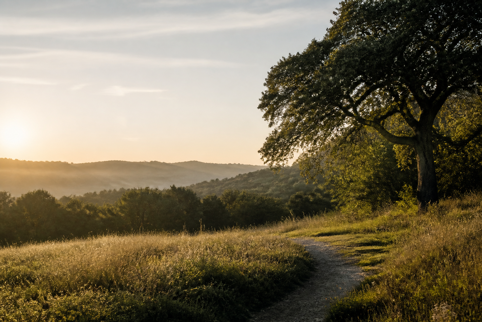 A peaceful Texas Hill Country landscape